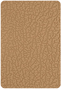 Leather Rose Gold (RDS-LeatherR)